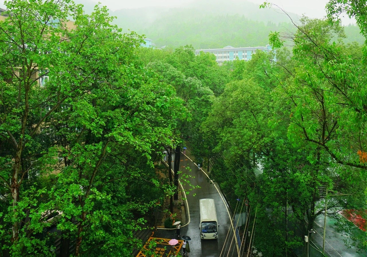 春雨.jpg